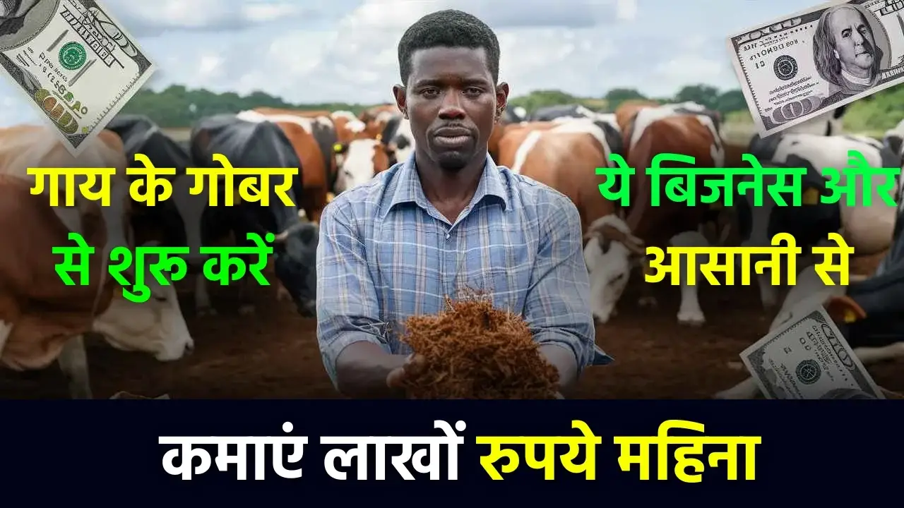 Cow Dung Business Ideas