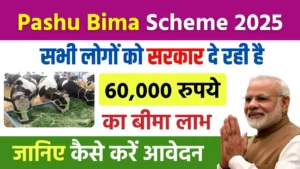 Pashu Bima Scheme 2025